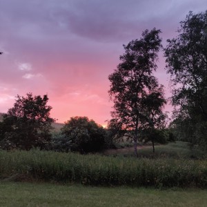 ดาวน์โหลดและฟังเพลง Caja De Música (Ángulo Dorado) พร้อมเนื้อเพลงจาก Tommy Miraculous