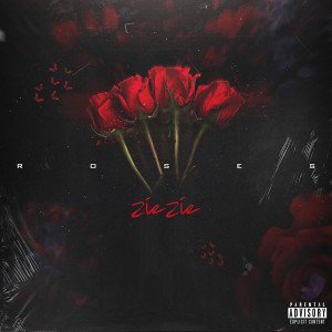 ดาวน์โหลดและฟังเพลง Roses (Explicit) พร้อมเนื้อเพลงจาก ZieZie