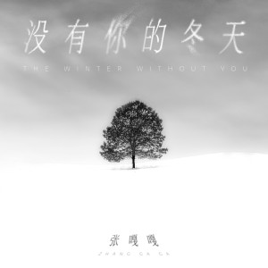 Album 没有你的冬天 from 张嘎嘎