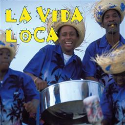 La Bomba - Sound-A-Like Cover originally by Ricky Martin