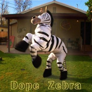 Rhett and Link的專輯Dope Zebra