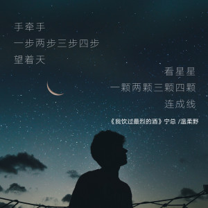 Album 我饮过最烈的酒 from 宁总