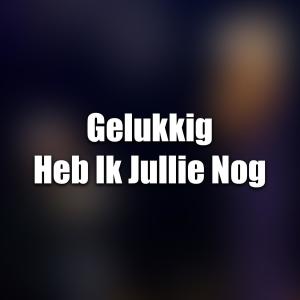 Listen to Gelukkig Heb Ik Jullie Nog song with lyrics from HenkKoelka