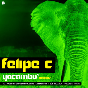 Listen to Yacambo' (Paolo M. & Eugenio Colombo Remix) song with lyrics from Felipe C