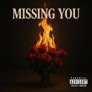 Listen to Missing You song with lyrics from Riisky