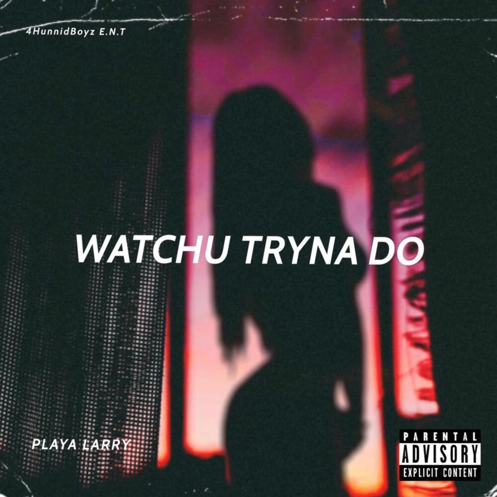 Watchu Tryna Do(Parody Song) (Explicit)
