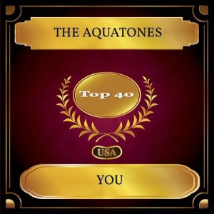 Album You from The Aquatones