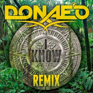ดาวน์โหลดและฟังเพลง I Know (Addicted) [Afrobeats Remix] (其他|Afrobeats Remix) พร้อมเนื้อเพลงจาก Donae'o
