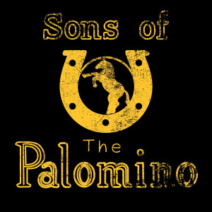 收聽Sons of the Palomino的Countryholic歌詞歌曲