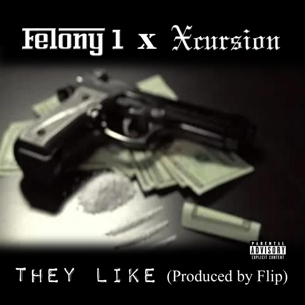 They Like (feat. Felony 1) (Explicit)