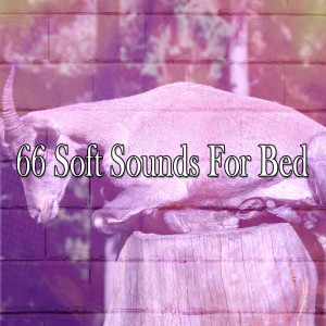 ดาวน์โหลดและฟังเพลง Find Soothing Sleep พร้อมเนื้อเพลงจาก Rest & Relax Nature Sounds Artists