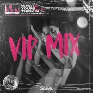 Listen to What You're Thinkin' (VIP Mix) song with lyrics from Hella