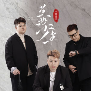 Album 莫欺少年 from 半吨兄弟