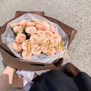 Dengarkan lagu 仰望星空 (纯音乐) nyanyian 纯音乐 dengan lirik