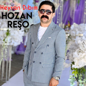 Listen to Heyran Dıbım song with lyrics from Hozan Reşo