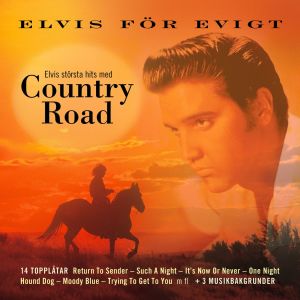 ดาวน์โหลดและฟังเพลง Such a Night (Karaoke Version) พร้อมเนื้อเพลงจาก Country Road