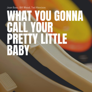 Album What You Gonna Call Your Pretty Little Baby from Joan Baez