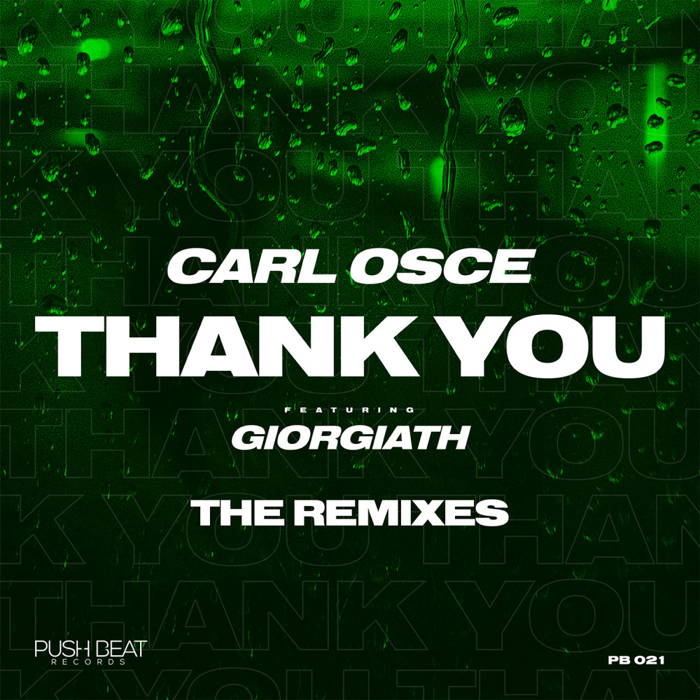 Thank You (Danilo Seclì Remix)