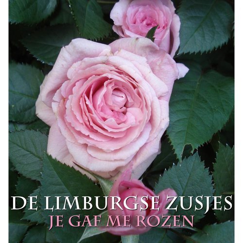 Je Gaf Me Rozen