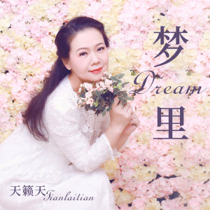 收听天籁天的梦里 (伴奏)歌词歌曲