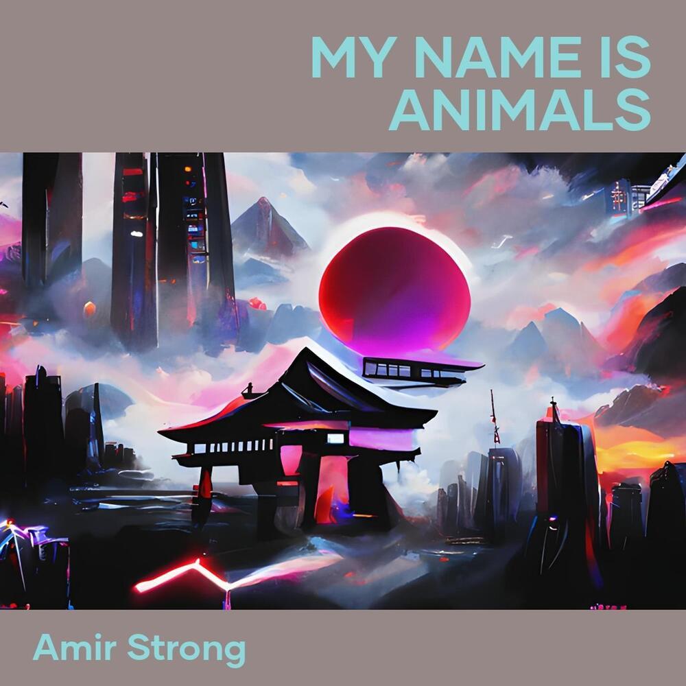 My Name Is Animals