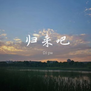 Listen to 归来吧 (纯音乐DJPW版) song with lyrics from DJ pw