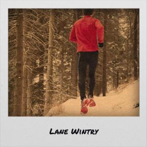 ดาวน์โหลดและฟังเพลง Psyche Courageous พร้อมเนื้อเพลงจาก Joham Olger