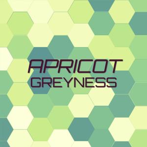 Various Artists的專輯Apricot Greyness