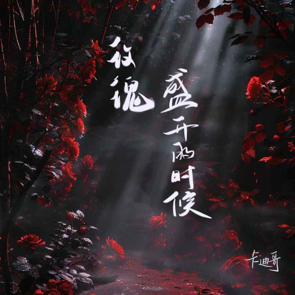 玫瑰盛开的时候