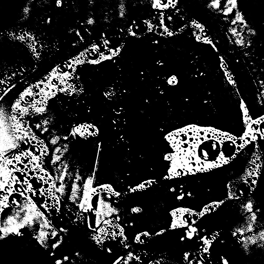Bush (Original Mix)