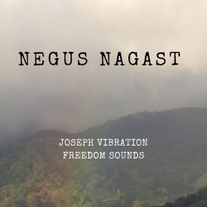 Album Negus Nagast (feat. Freedom Sounds) from 