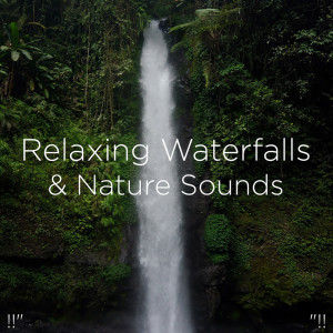 Listen to Rain & Sleep Music song with lyrics from BodyHI