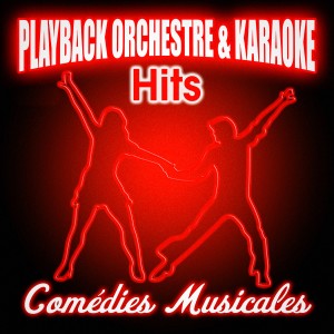 DJ Playback Karaoké的專輯Hits comédies musicales