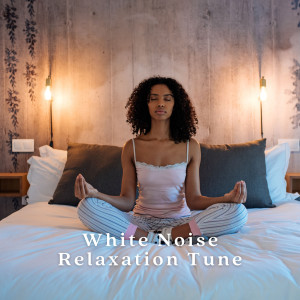 Album White Noise Relaxation Tune oleh Inside Rest