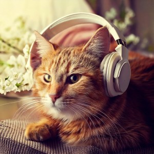 Classical of Birdland的專輯Cat Serenity: Graceful Music Themes