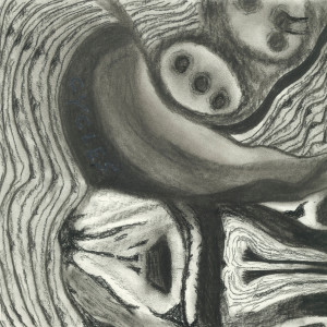 Haroula Rose的專輯Cycles