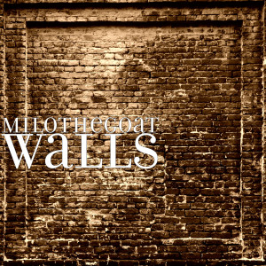 Listen to Walls song with lyrics from Milothegoat