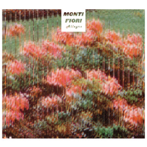 Dengarkan Kriminal lagu dari Monti Fiori dengan lirik