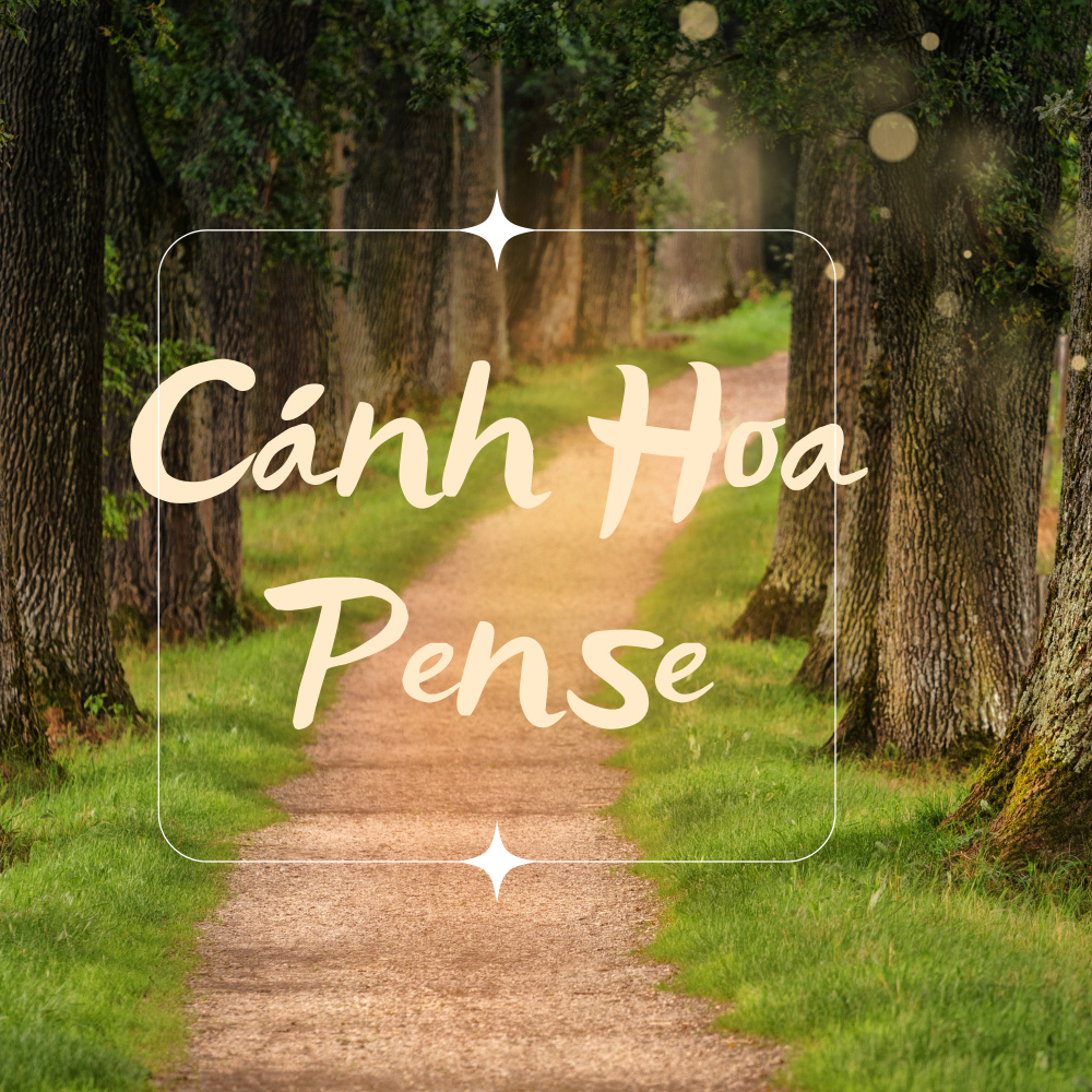 Đêm Buồn Tỉnh Lẻ