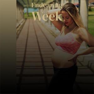 Various Artists的專輯Endearing Week