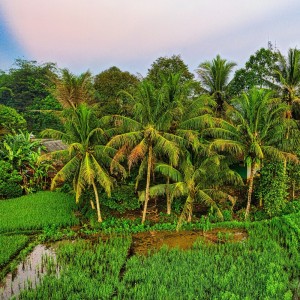 Listen to Maung Lugay song with lyrics from Eli Kharisma