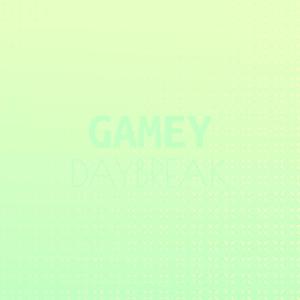 Various Artists的專輯Gamey Daybreak