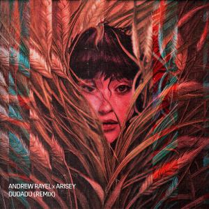 Andrew Rayel的专辑Dudadu (Remix)