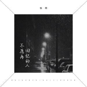 Listen to 不愿再回忆的人 (伴奏) song with lyrics from 张雨