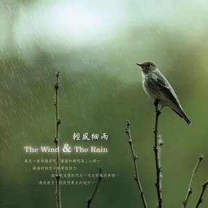 The Wind & the Rain dari 王俊雄