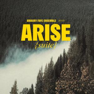 Album Arise (Suite) from Amaury Faye
