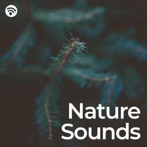 Album Nature Sounds: Pure Relaxation from Naturaleza Exige