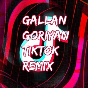 Dj Viral Indonesia TikTok的专辑Gallan Goriyan TikTok Remix