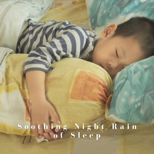 อัลบัม Soothing Night Rain of Sleep ศิลปิน breezy brooks