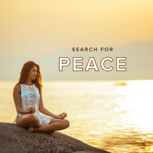 Various Artists的專輯Search for Peace